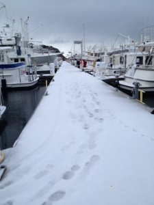 Snow Docks